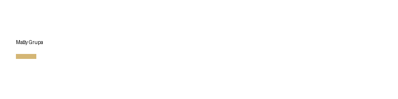 Mały Grupa logo